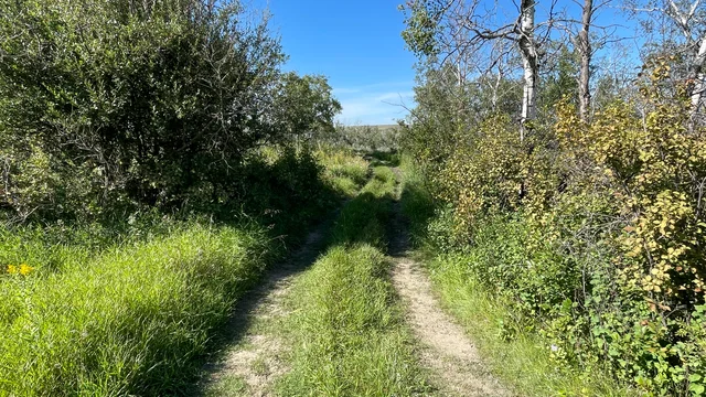 9 20250818_220121106_iOS