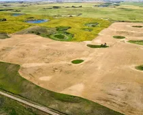 9 20250826_231626000_iOS