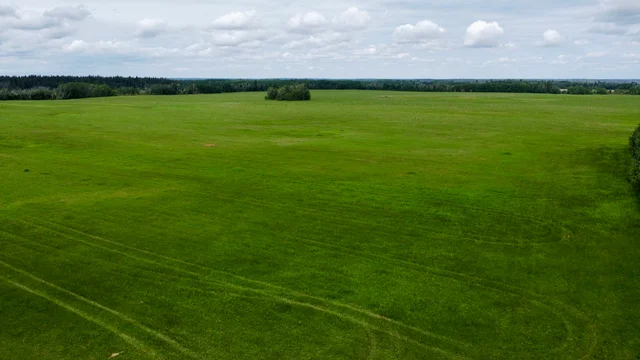 Gillies SE 21-51-12-W3