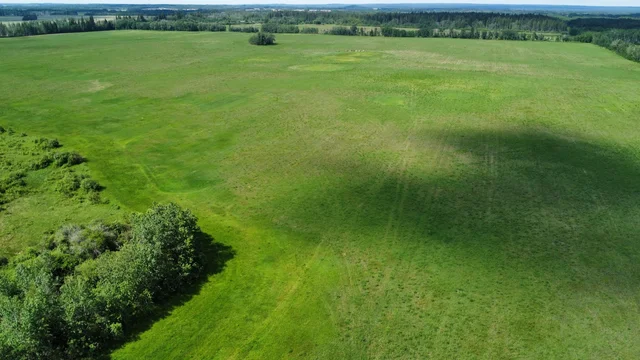 Gillies SE 21-51-12-W3 from grid