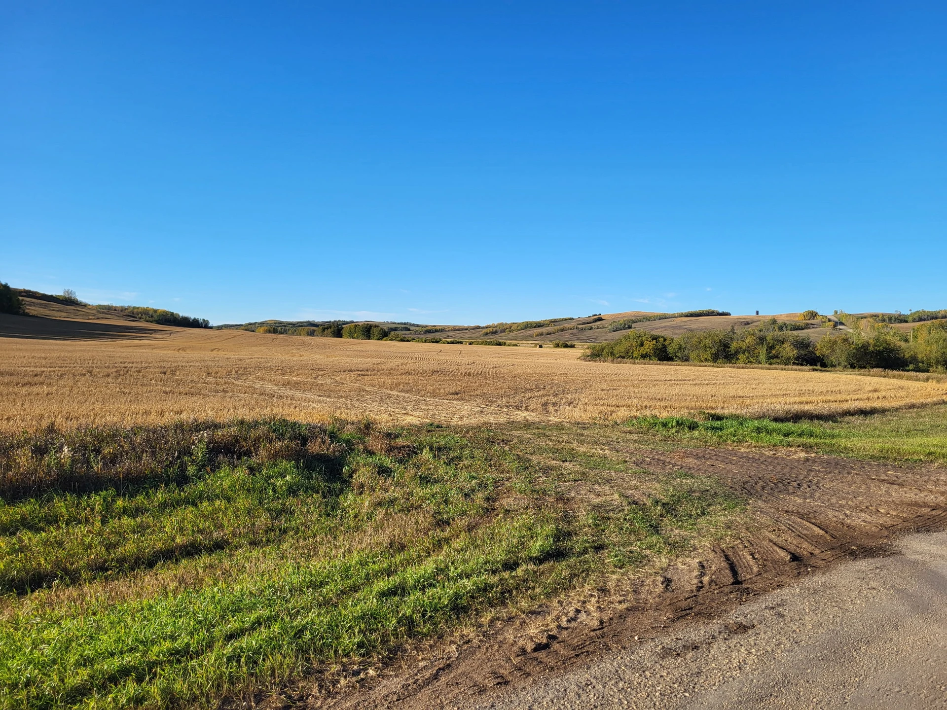 IMG_20251027_140245 (1)