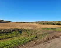 IMG_20251027_140245 (1)