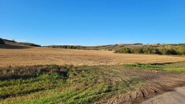 IMG_20251027_140245 (1)