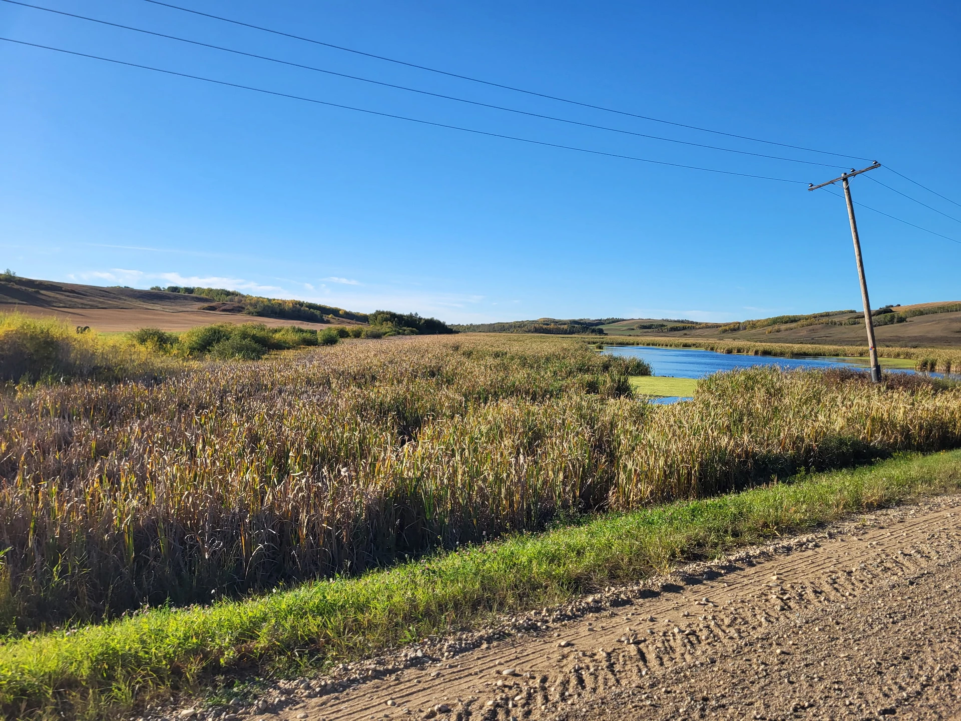 IMG_20251027_140245 (2)