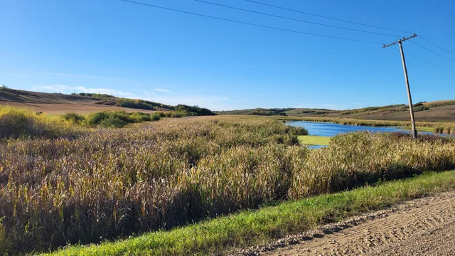 IMG_20251027_140245 (2)