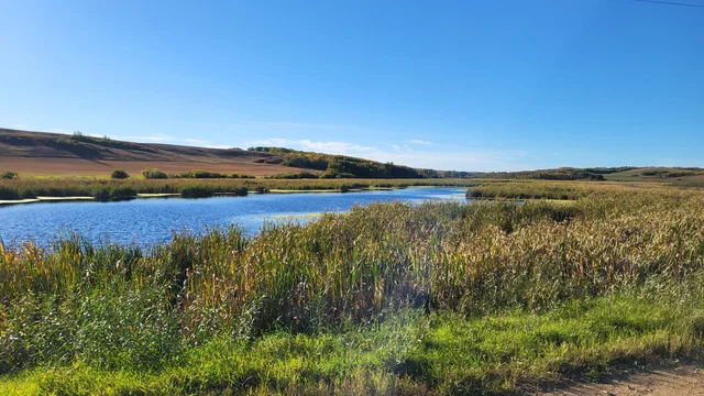 IMG_20251027_140245 (4)