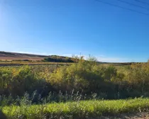 IMG_20251027_140245 (5)