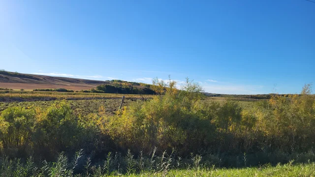 IMG_20251027_140245 (5)