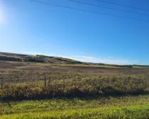 IMG_20251027_140245 (7)