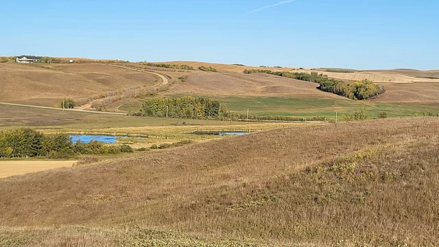 IMG_20251027_140355 (1)