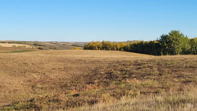 IMG_20251027_140355 (3)