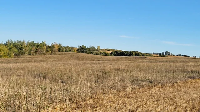 IMG_20251027_140355 (6)