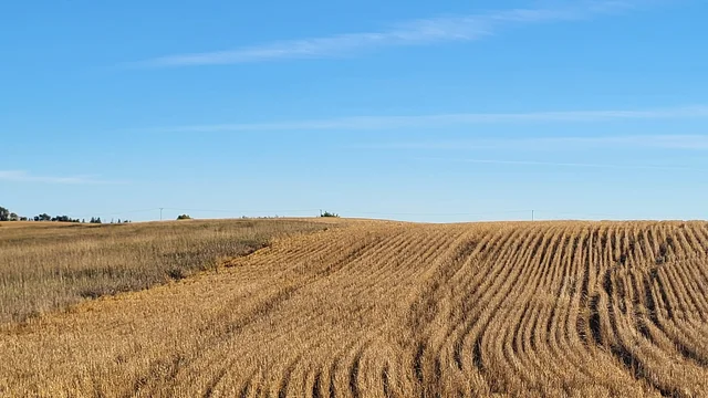 IMG_20251027_140355 (7)