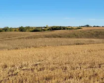 IMG_20251027_140355 (8)