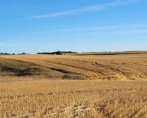 IMG_20251027_140355 (9)