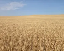 Resized_20250907_144827