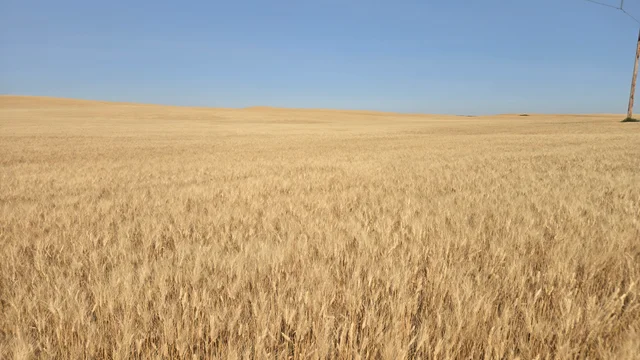 Resized_20250907_144836