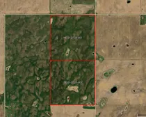 Satellite Image Outlined