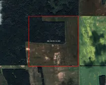 Satellite Image Outlined